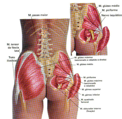 Ciatalgia